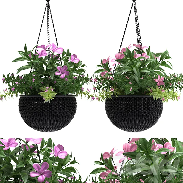 HANGING BASKET 3DModel
