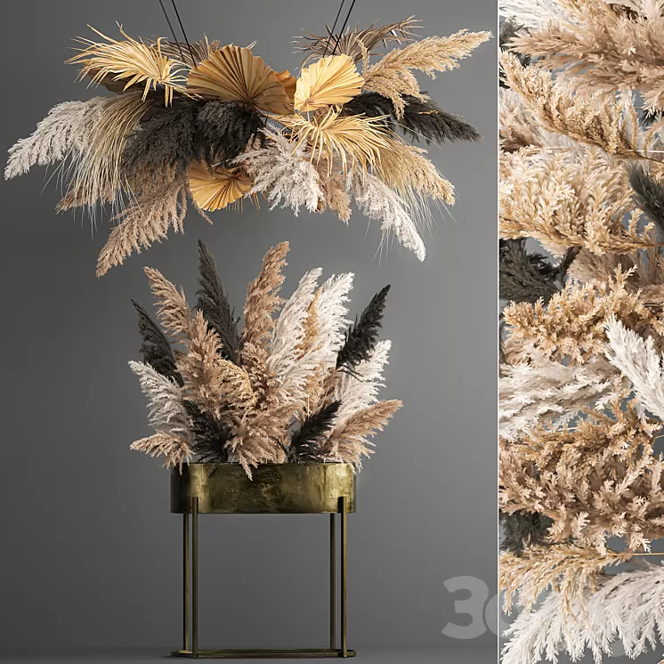 Hanging bouquet composition of dried flowers from pampas suspension dry palm leaf. 188. 3D Model Free