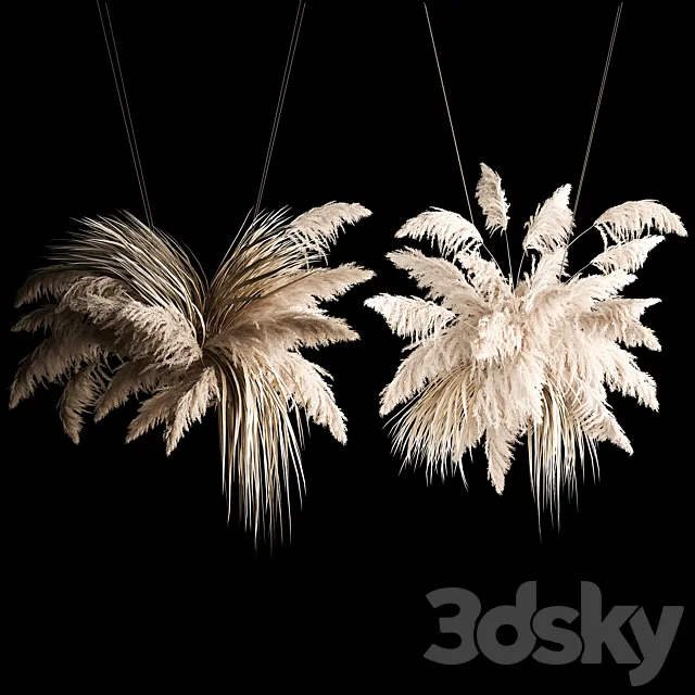 Hanging bouquet installation of white reeds dried flower from pampas grass. reed. Cortaderia. 261 3DModel