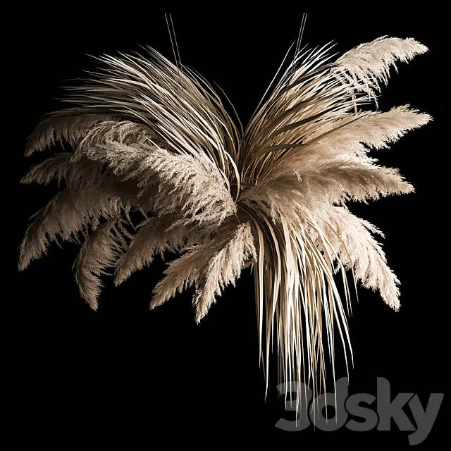 Hanging bouquet of dry reeds and pampas grass for decoration and interior. 266. 3D Model