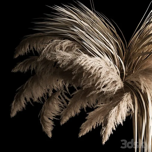Hanging bouquet of dry reeds and pampas grass for decoration and interior. 266 3D Model