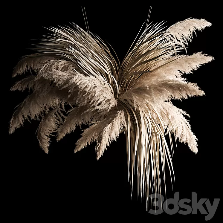 Hanging bouquet of dry reeds and pampas grass for decoration and interior. 266. 3D Model Free