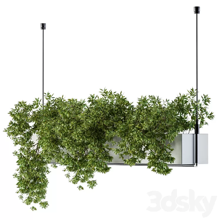 Hanging box plant 3D Model