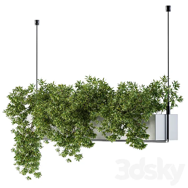 Hanging box plant 3DModel