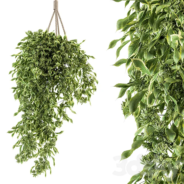 Hanging box plant - Set 154 3D Model