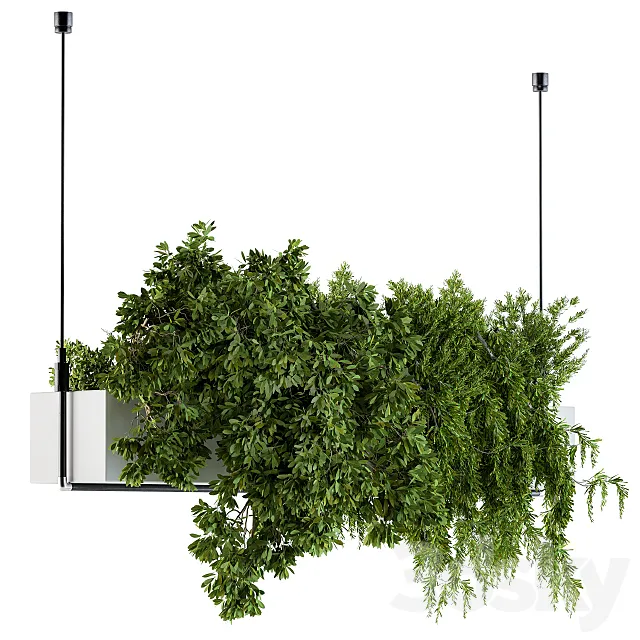 Hanging box plant - Set 70 3DModel