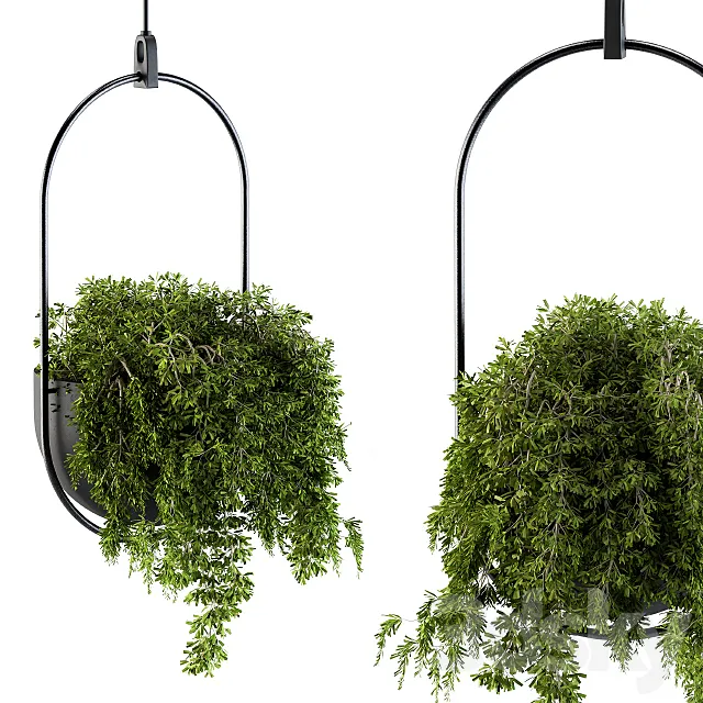 Hanging box plant - Set 83 3D Model
