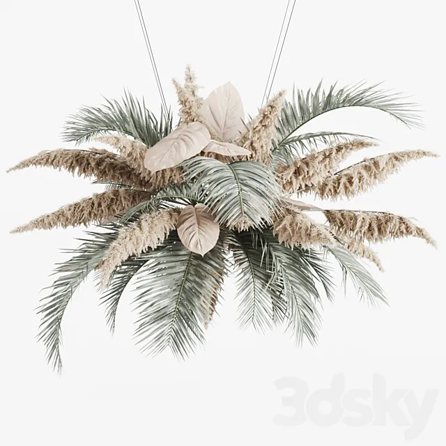 Hanging decor of palm leaves and pampas grass Free Download