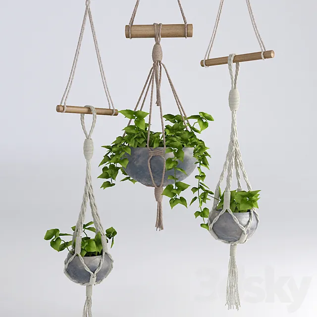Hanging flowerpots # 4 3DModel