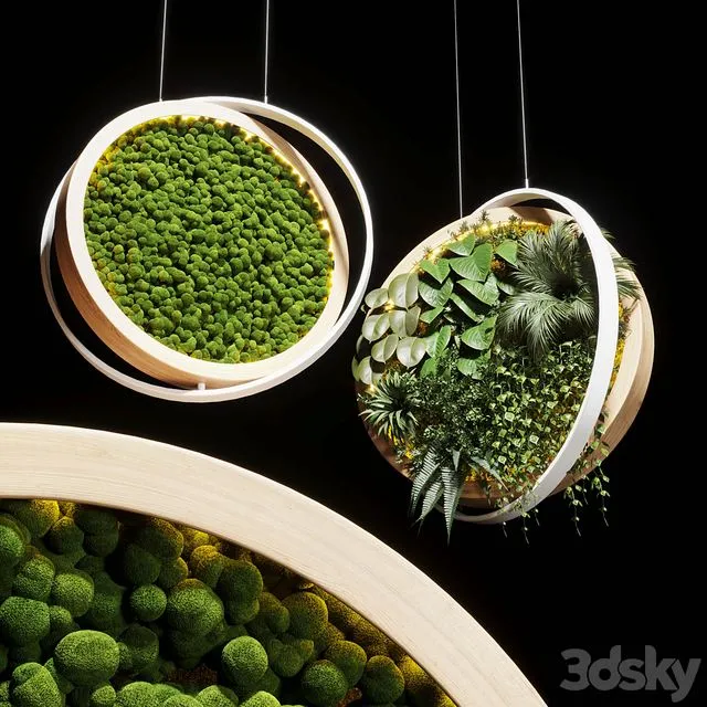 Hanging garden and hanging moss in wooden frame 218 3D Model