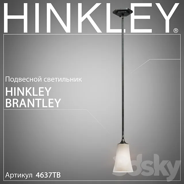 Hanging lamp Hinkley Brantley 4637TB 3DModel