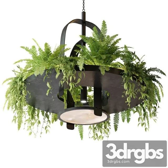 Hanging lamp with plants Free Download