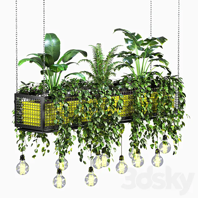 hanging plant 01 3D Model