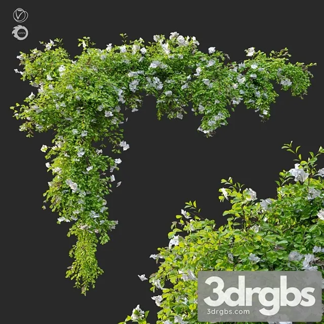 Hanging Plant 12 3D Model Free