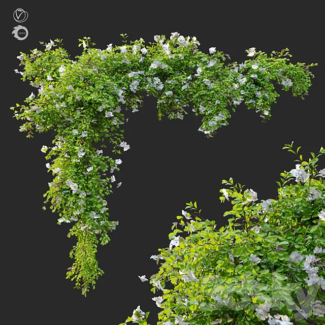 Hanging Plant 12 3D Model