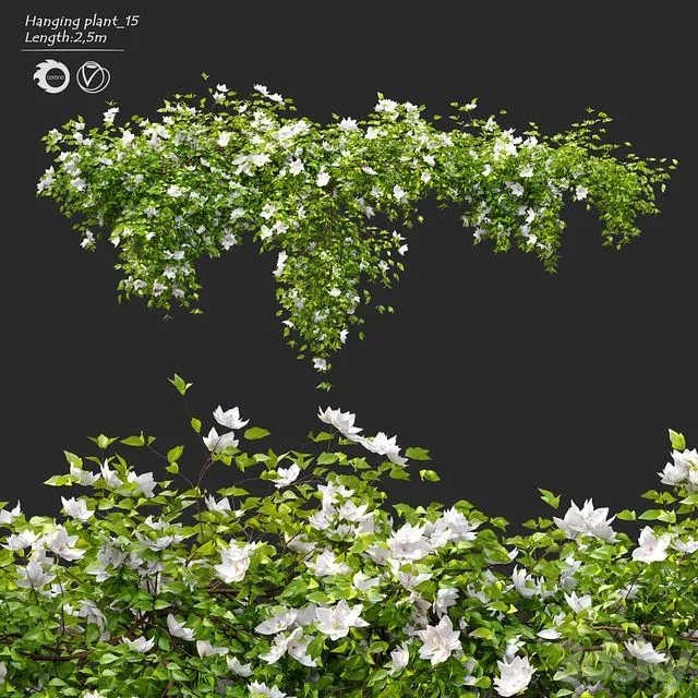 Hanging Plant 15 3D Model