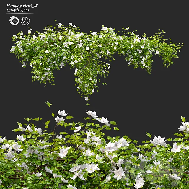 Hanging Plant 15 3D Model