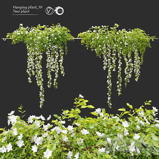 Hanging Plant 19 3D Model