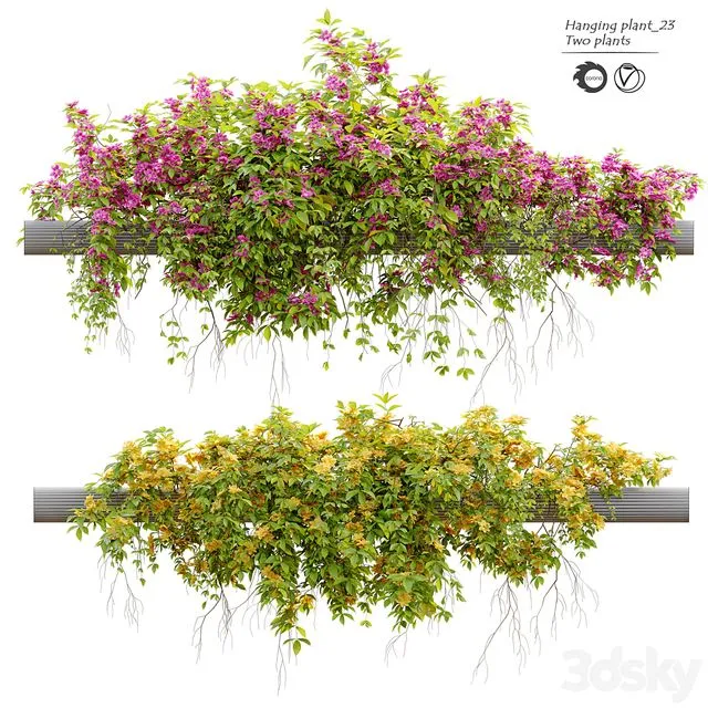 Hanging Plant 23 3D Model