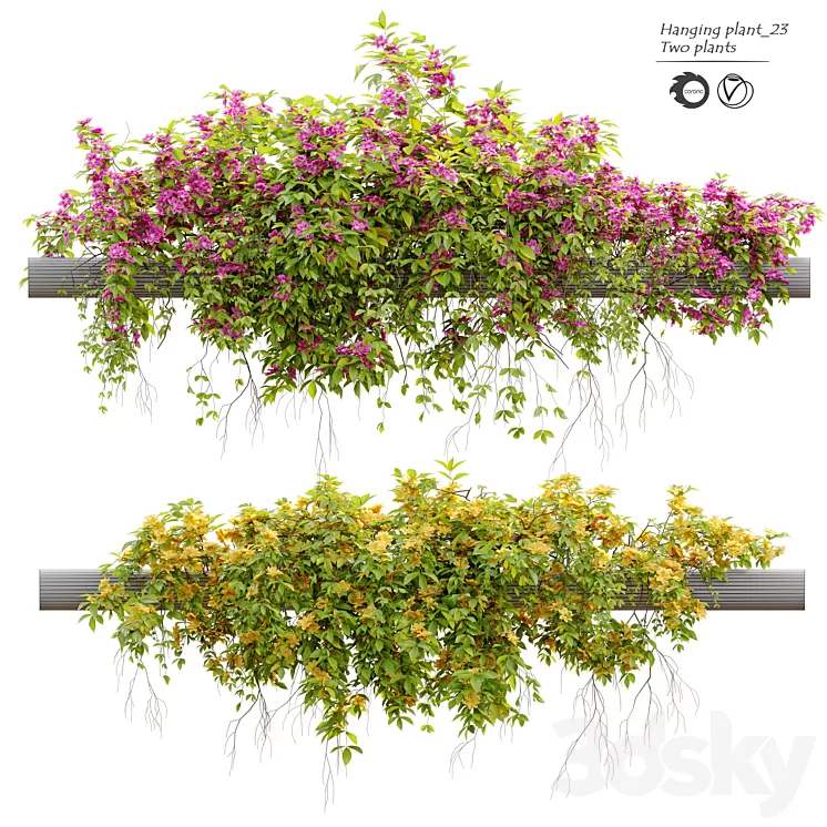 Hanging Plant 23 3D Model