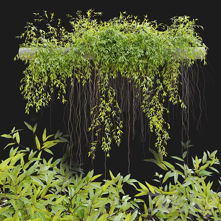 Hanging Plant 25 3D Model Free