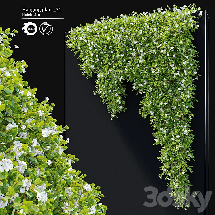 Hanging Plant 31 3D Model Free