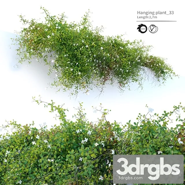 Hanging Plant 33 3D Model Free