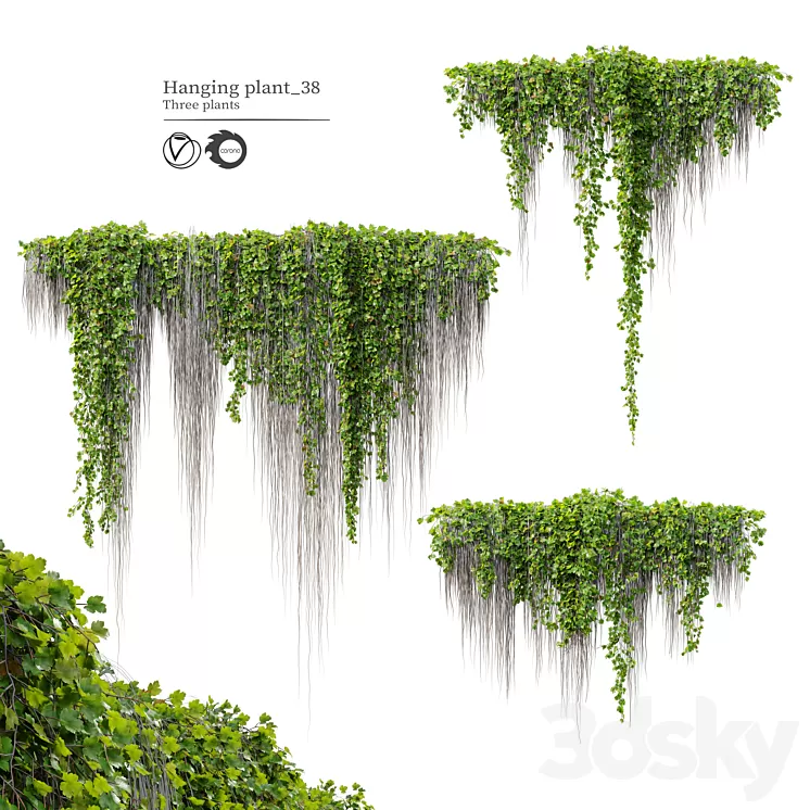 Hanging Plant 38 3D Model Free