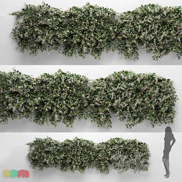 Hanging Plant - ChoisyaTernata - 3 Modular Pieces 3D Model