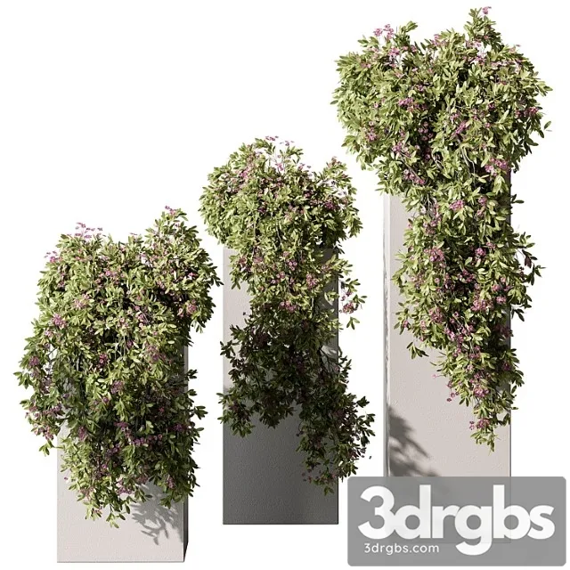 Hanging Plant in Box Outdoor Plants 454 3D Model Free