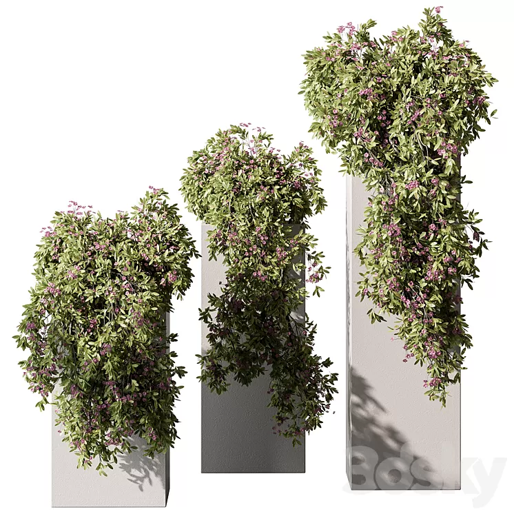 Hanging Plant in Box - Outdoor Plants 454 3D Model Free