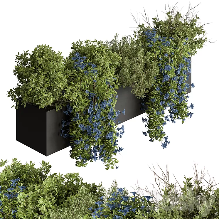 Hanging Plant - Outdoor Plants 503 3D Model Free