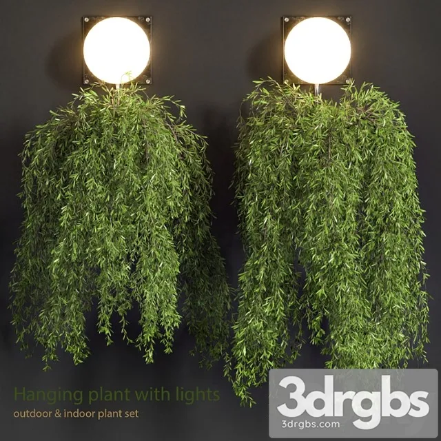 Hanging Plant With Lights 6 3D Model Free