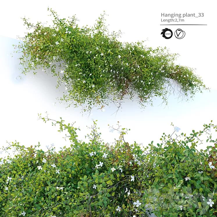 Hanging plant_33 3D Model Free