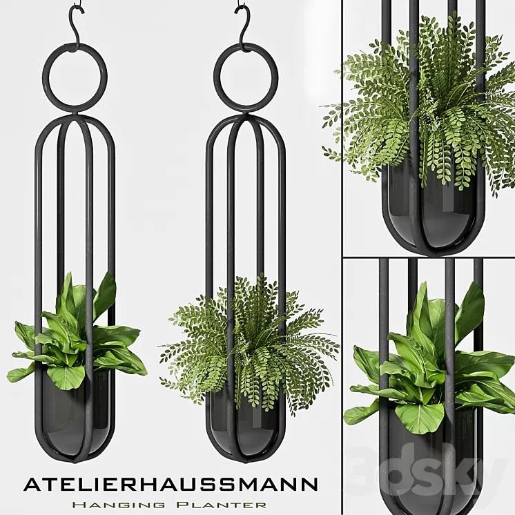 Hanging Planter -02 3D Model
