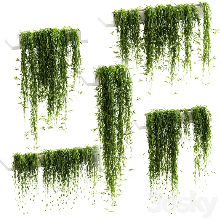Hanging plants for shelves. 5 models. set 3 3D Model
