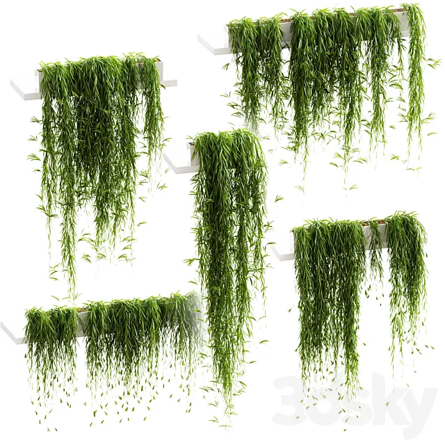 Hanging plants for shelves. 5 models. set 3 3DModel