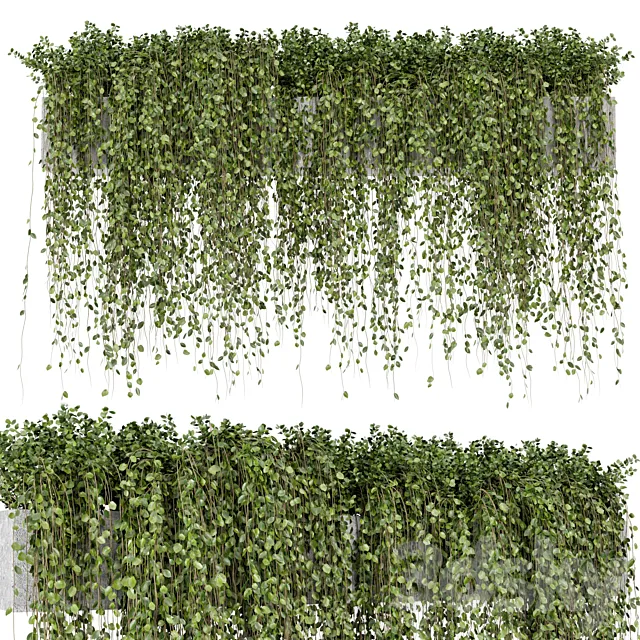 Hanging Plants in rusty Concrete Pot – Set 509 3D Model