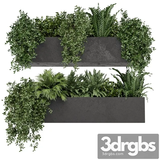 Hanging plants in rusty concrete pot - set 589