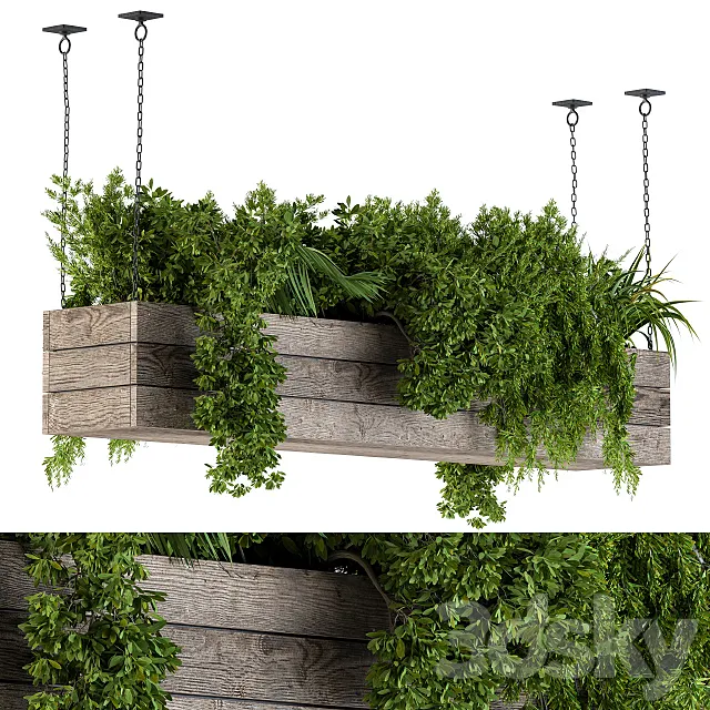 Hanging Plants in Wooden Box 3D Model