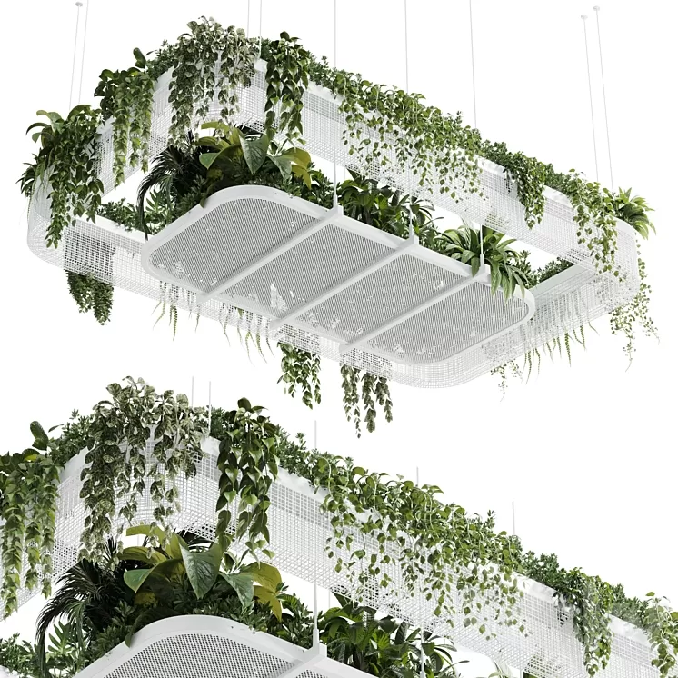Hanging plants - indoor plant 323 vray 3D Model Free