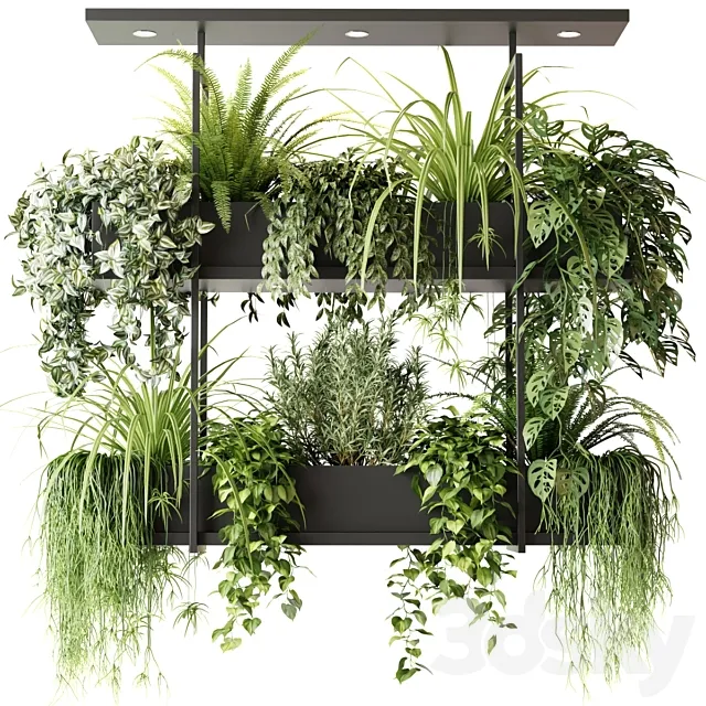 Hanging plants indoor plant hanging plants OSLO 3D Model