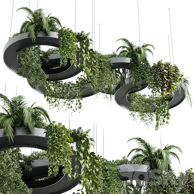 Hanging Plants - Indoor plants 309 3D Model