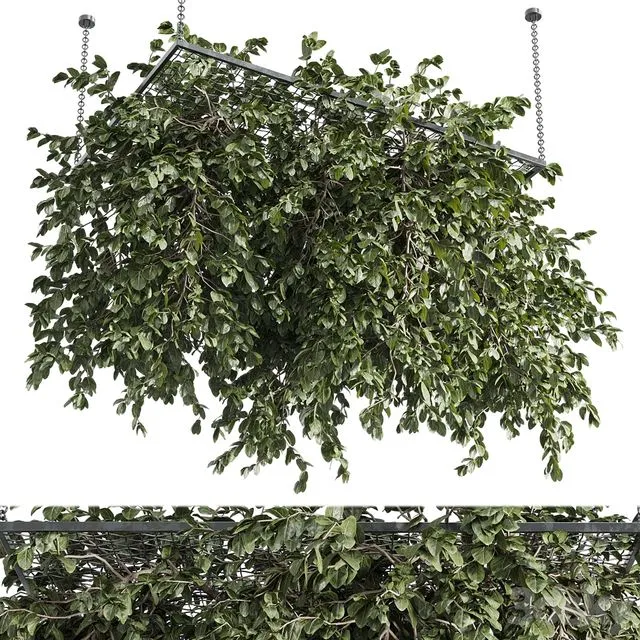 Hanging plants - outdoor plant set 171 3D Model