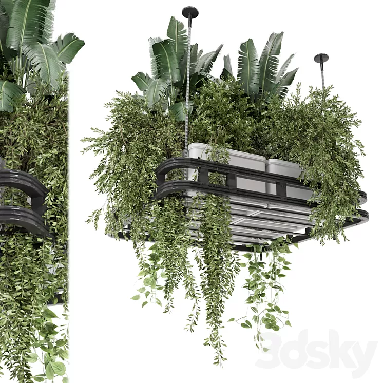 Hanging Plants Set in Concrete Pot - Set 1113 3D Model Free