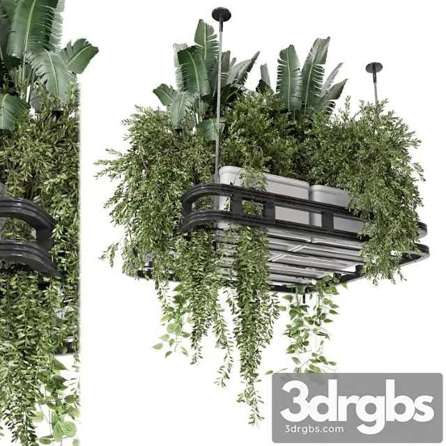 Hanging plants set in concrete pot - set 1113