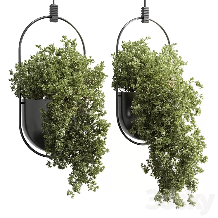 hanging pot collection indoor outdoor Indoor plants15-metal bax vase corona 3D Model Free