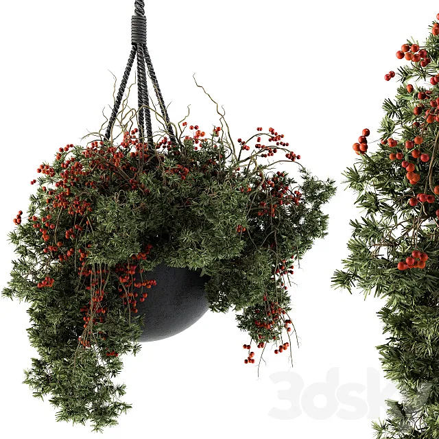 Hanging Pot plant - Set 102 3D Model