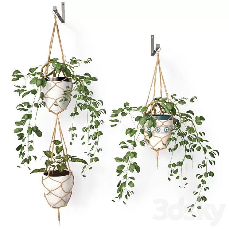 Hanging pots 3D Model