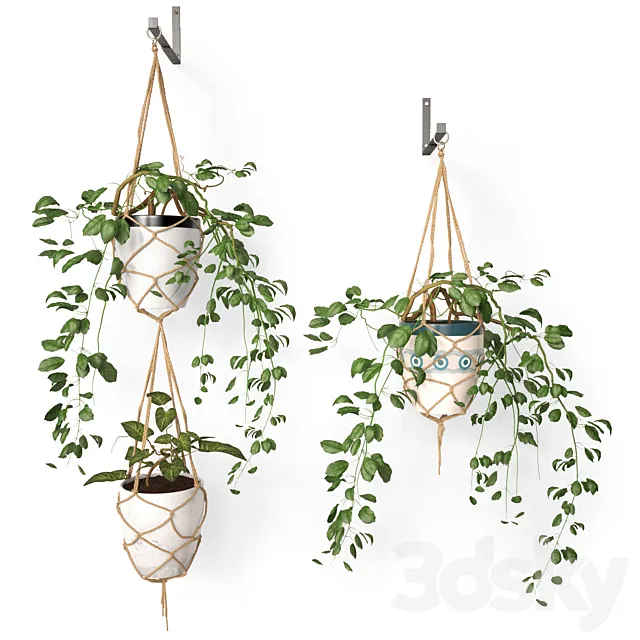 Hanging pots 3DModel